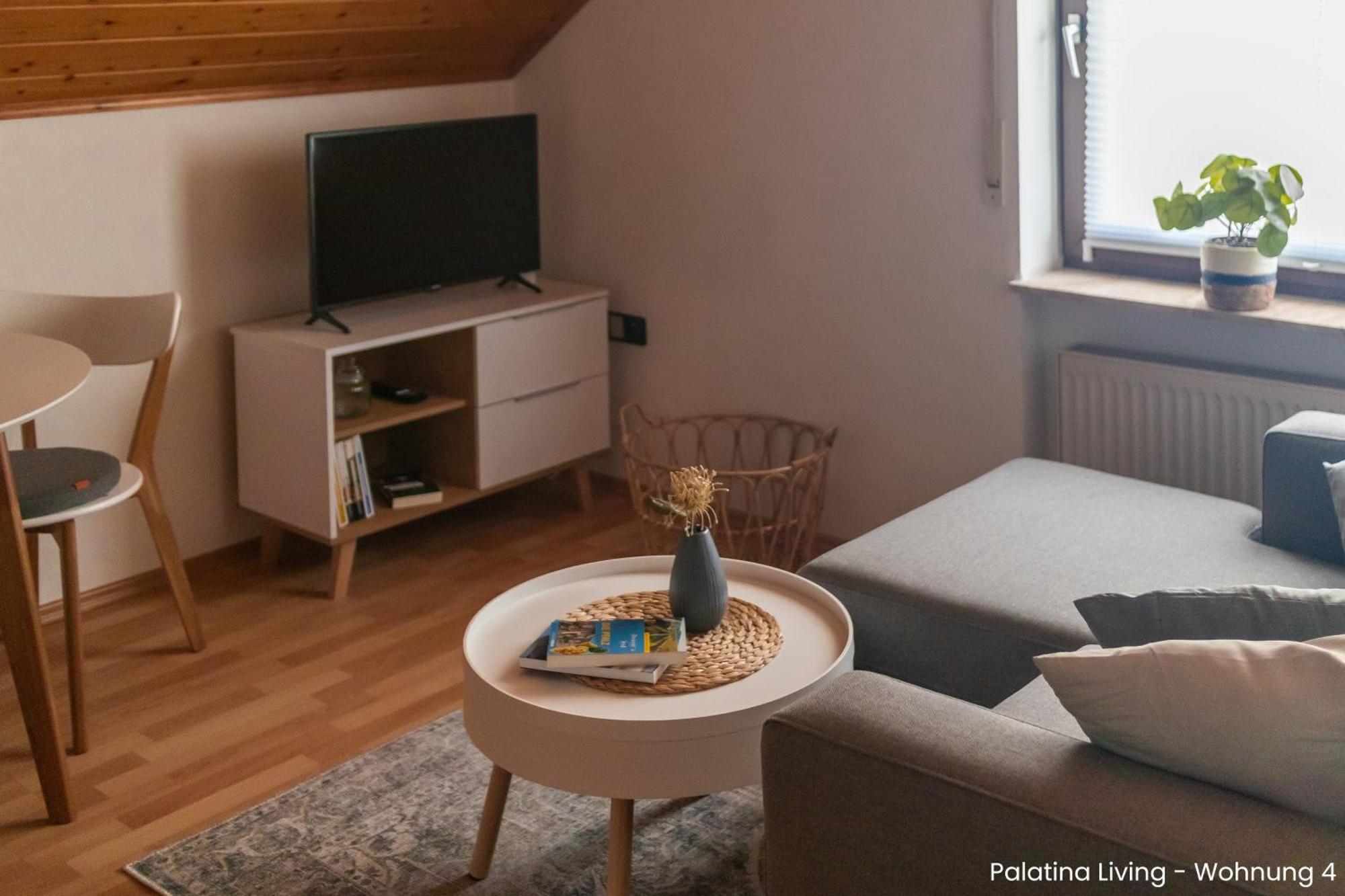 Palatina Living Apartment Fischbach bei Dahn Luaran gambar