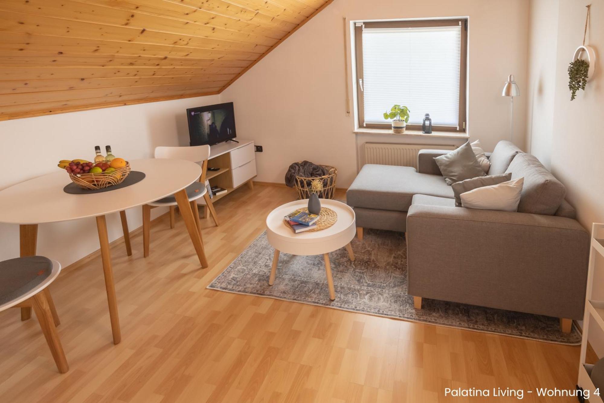 Palatina Living Apartment Fischbach bei Dahn Luaran gambar