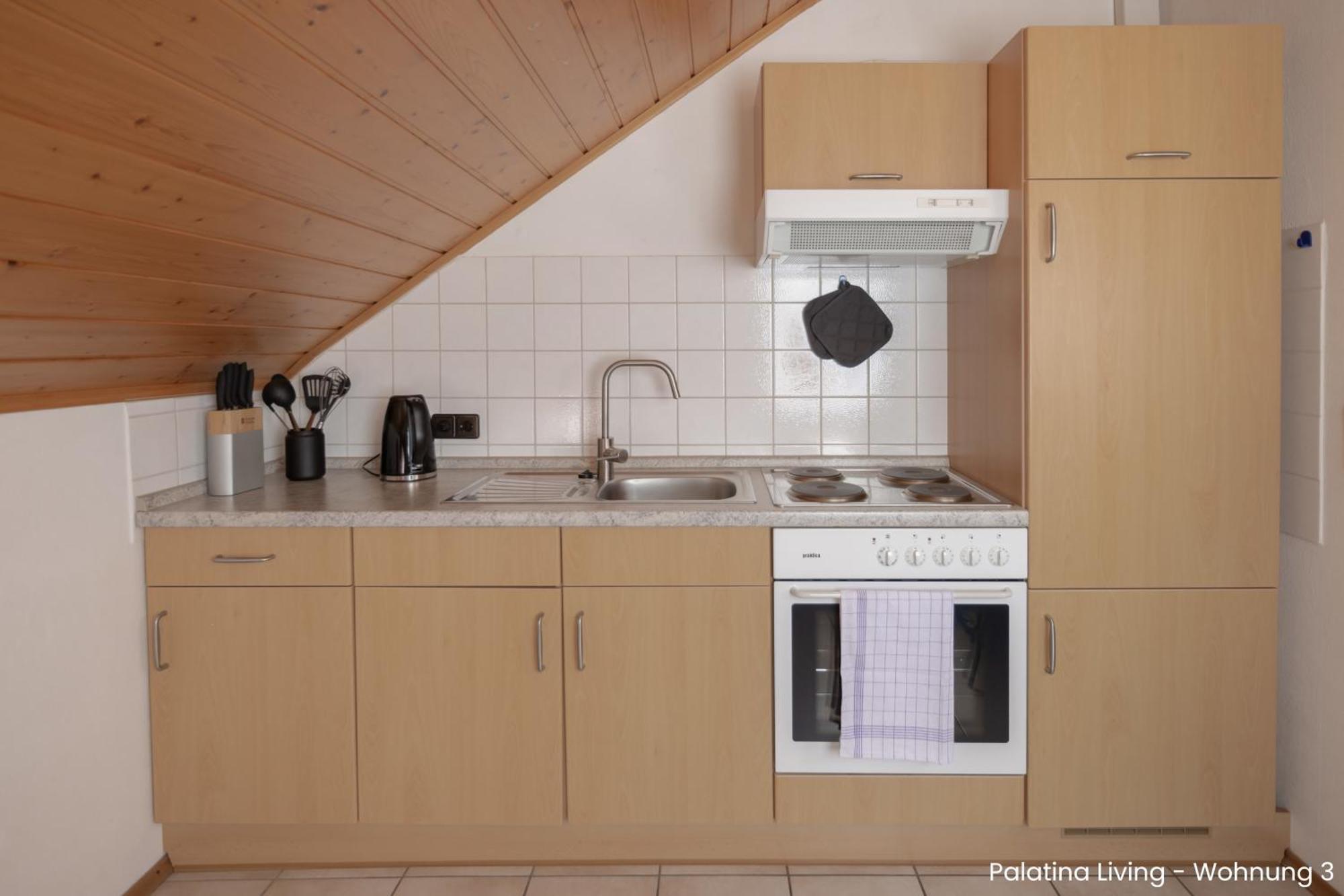 Palatina Living Apartment Fischbach bei Dahn Luaran gambar